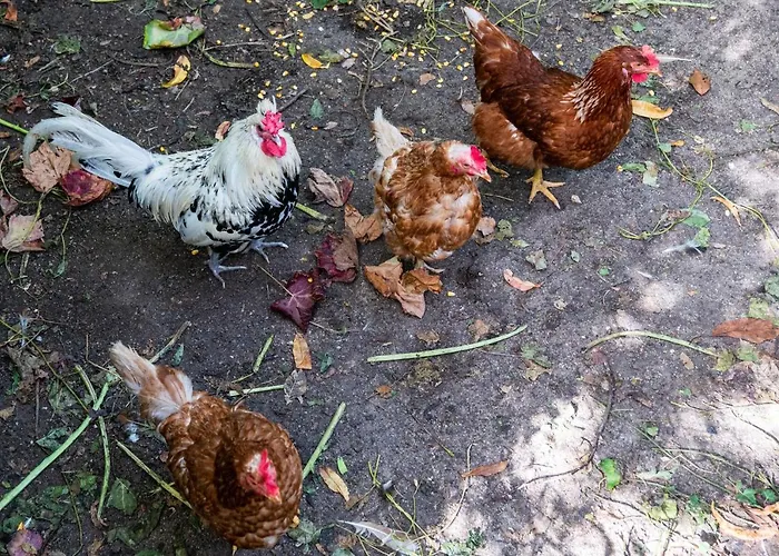 Casa Do Lameiro Hotel *